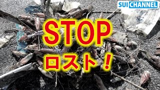 水中で見るロストの瞬間！水中映像でエギやルアーの根掛かり・ロストの原因を探る！