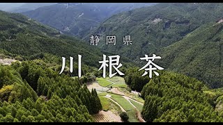 【英語ver.】南アルプス（静岡県）の麓　『川根茶産地』