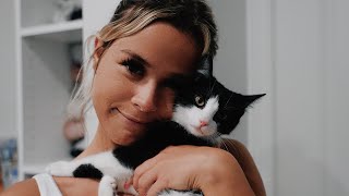 MEET MY NEW FRIEND | I FINALLY GOT A KITTEN