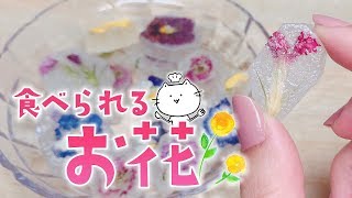 琥珀糖に食べられるお花 \