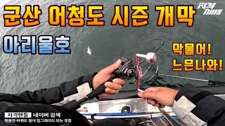 [군산타이라바] 늦가을 살찌운 참돔들 어청도에서 쏟아진다! #아리울호 #타이라바