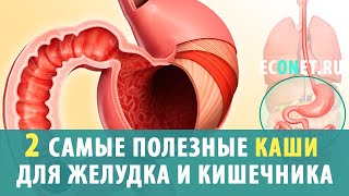 2 самые полезные каши для желудка и кишечника