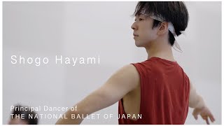 Meet our Principals: Shogo Hayami | The National Ballet of Japan