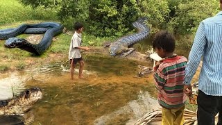 Wow! Brave Children Find And Catch Snake In The Rice Field - How To Catch Snake In Cambodia