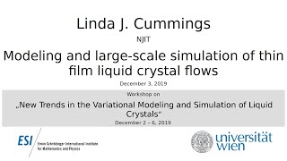 Linda J. Cummings - Modeling and large-scale simulation of thin film liquid crystal flows