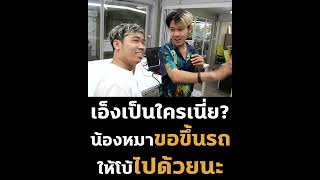 เอ็งเป็นใครเนี่ย? น้องหมาขอขึ้นรถ ให้โบ้ไปด้วยนะ