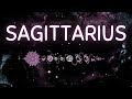 SAGITTARIUS THE FINAL STAGE BEFORE THEY OPEN THEIR HEART TO YOU! Powerful Love💘​SEPTEMBER TAROT