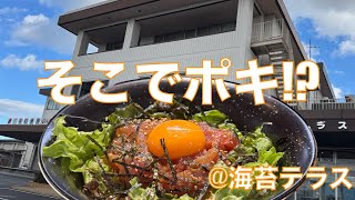 ポキ丼初めて食べてみた⁉️ 『海苔テラス』 三重県の漁業協同組合直営店を訪ねてみた‼️ 海苔とお魚の満載のメニューにみずのっち昇天✨【みずのっち孤食旅】