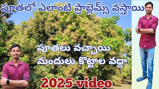 పూత మీద ఏం మందులు స్ప్రే చేయాలి 2025//భరత్ రైతుబడి