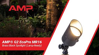 AMP® G2 EcoPro Brass Black Spotlight