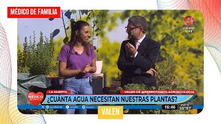 ¿Cuánta agua necesitan nuestras plantas? | Médico de Familia | Dr. Jorge Tartaglione | Valen