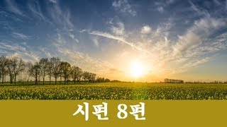 [성경낭독 - 시편]  시편 8편