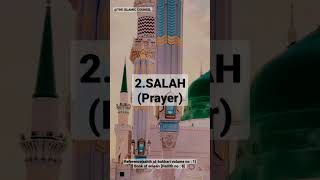 Islam is based on 5 pillars #shahadat #salah #zakat #fasting #hajj #islam #bismillah #allah #hijab