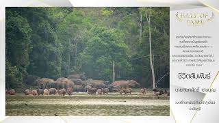 ร่วมปลูกจิตสำนึกการอนุรักษ์ธรรมชาติและสิ่งแวดล้อม กับ ‘สัตว์มีค่า ป่ามีคุณ’ ภาพชีวิตสัมพันธ์