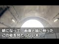 夫「産後一ヶ月で体型戻らなかったら離婚なｗ結婚当時と全然変わった詐欺でおまえ有責だからｗ」私「じゃああなたの頭頂部のハゲ、あと一ヶ月で生えなかったら離婚ね」【スカッとする話lab】