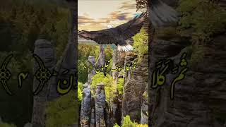 Surha Al -Takaatur,(Full Recitation)♥️🌹🙏mishary Al Rashid  beautiful voice