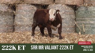 LOT 222K ET  SRR MR VALIANT 222K ET  | SRR PRODUCTION SALE APRIL 15, 2023