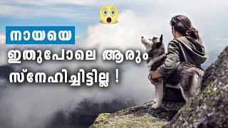 രണ്ട് കാലുള്ള സ്കൂട്ടർ നായ #topmostmalayalam  #short #shorts