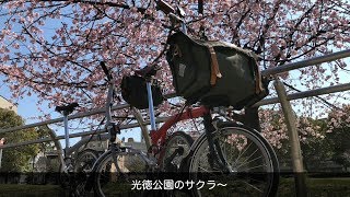 【ミニベロ】2018年3月　ブロンプトン ポタリングで春を感じる！