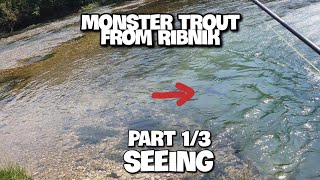 Fly Fishing in Bosnia 🇧🇦 | Ribnik | Monster trout Part 1 - Seeing