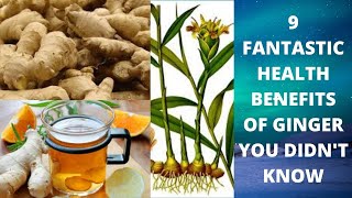 9 Fantastic Health Benefits of Ginger you Didn't Know