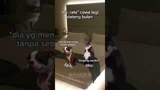 momen ketika cewe pms #fyp #pms #pmscore #core #moodcewek #meme #memekucing