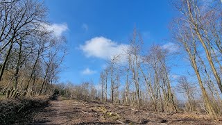 Duncton Hill Circular