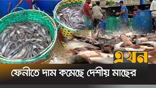 ফেনীতে দাম কমেছে দেশীয় মাছের | Feni News | Fish Price | Ekhon TV