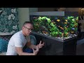 attractive aquarium lighting upgrades 4k