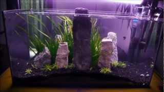 54 Liter Aquascape setup time lapse