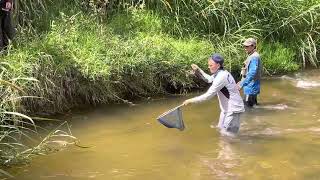 Pesca de trucha Arcoíris - torneo Retiro Ant.  #Grupesca