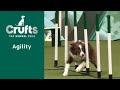 Agility -  Crufts Singles Heat -S/M/I/L (Jumping) Part 2 | ​Crufts 2023