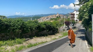 Nutriments of Ignorance (AN 10.61), w/ Bhante Suddhāso