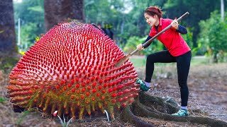 Harvesting Giant Strawberry Mushroom \u0026 Go to Market Sell |Explore the forest at the end of the world