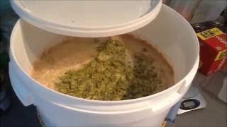 HBW#2 - Dry Hopping the American Pale Ale