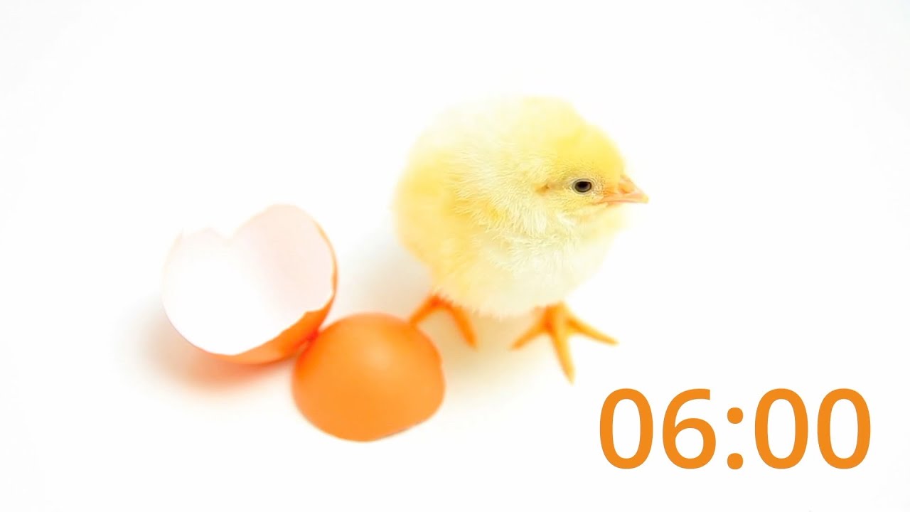 6 Minute Easter Timer Youtube