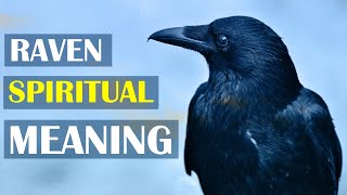 14 Spiritual Meaning of Raven Spirit Animal | Raven Totem Symbolism \u0026 Meanings