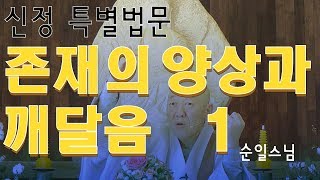 신정특별법문-존재의 양상과 깨달음 1