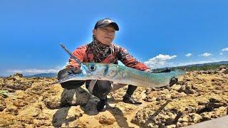 BANYAK BEGAL DI SPOT INI !! casting pinggiran karang dangkal manado umpan minnow