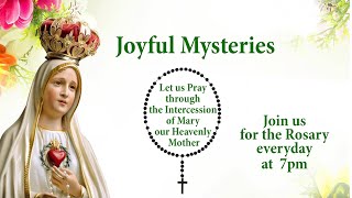 Rosary | Joyful Mysteries | Prayer | Mother Mary| 02 December, 2024