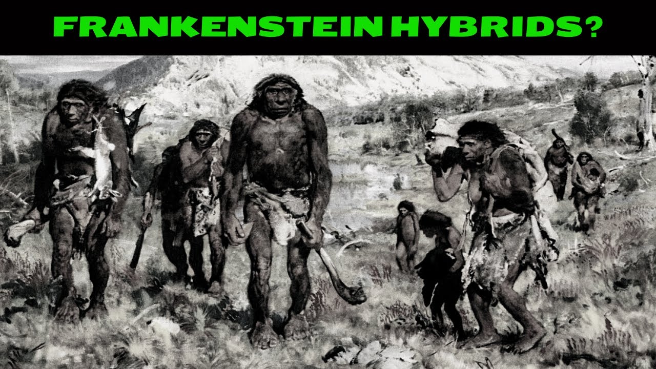 Why Are Homo Sapiens The Last Surviving Human Species? - YouTube