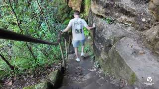 Exploring Valley of the Waters – Hidden Gem of Wentworth Falls!tourismaustralia