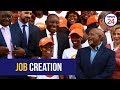 Ramaphosa hopes to make dent in youth unemployment with half a million jobs