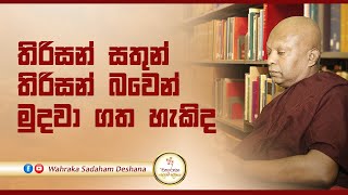 තිරිසන් සතුන් තිරිසන් බවෙන් මුදවා ගත හැකිද