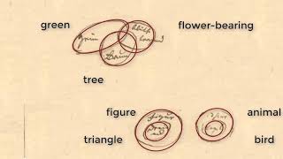 Schopenhauer Diagrams for Conceptual Analysis