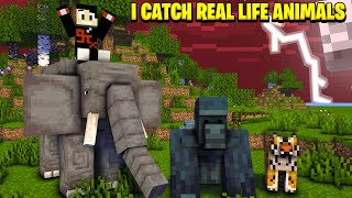 I Catch Real Life Animals in this Minecraft SMP