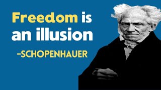Schopenhauer's Genius Philosophy - Why We Act Irrationally
