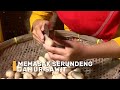 Memasak Serundeng Jamur Sawit | SI BOLANG (01/02/24)