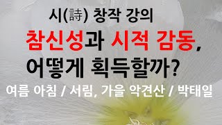 13-5) 참신성과 시적 감동 1, 여름 아침/서림, 가을 악견산/박태일, ‘적막하다’라는 말 / 정복여, 시 해설, 시 해석, 시 쓰기, 시 창작