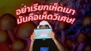 สรุปเห็ดวิเศษคืออะไรวะ? | Fried Brains EP1